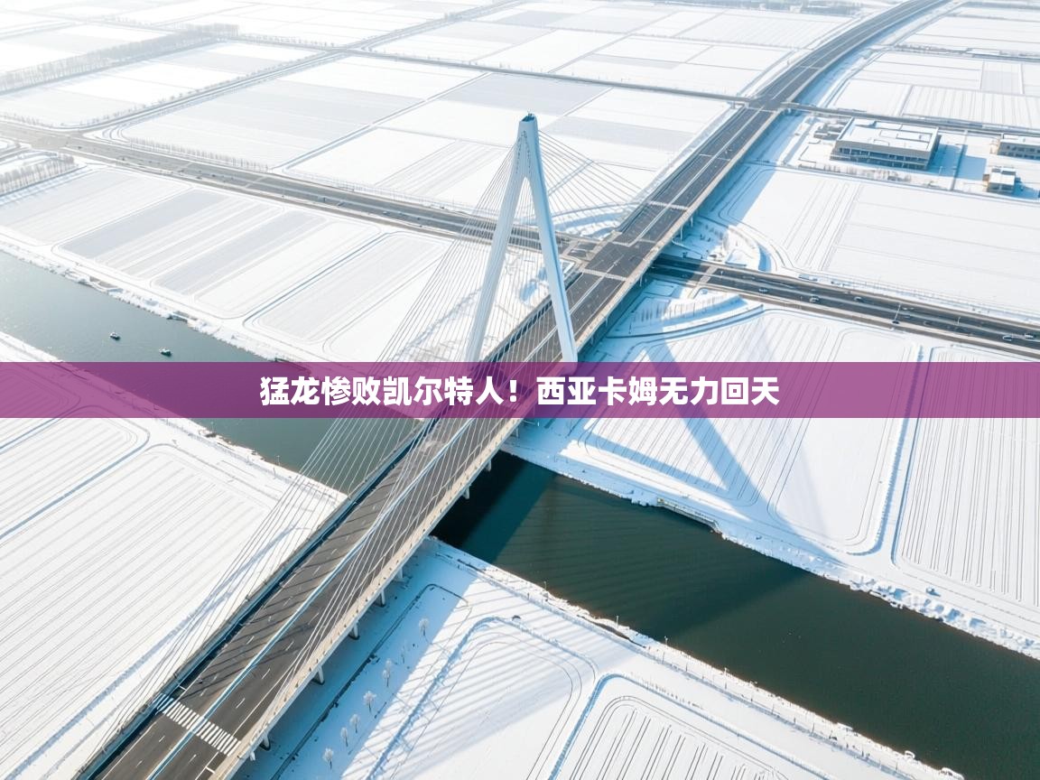 开云体育夜间模式开启-猛龙惨败凯尔特人!西亚卡姆无力回天 第2张