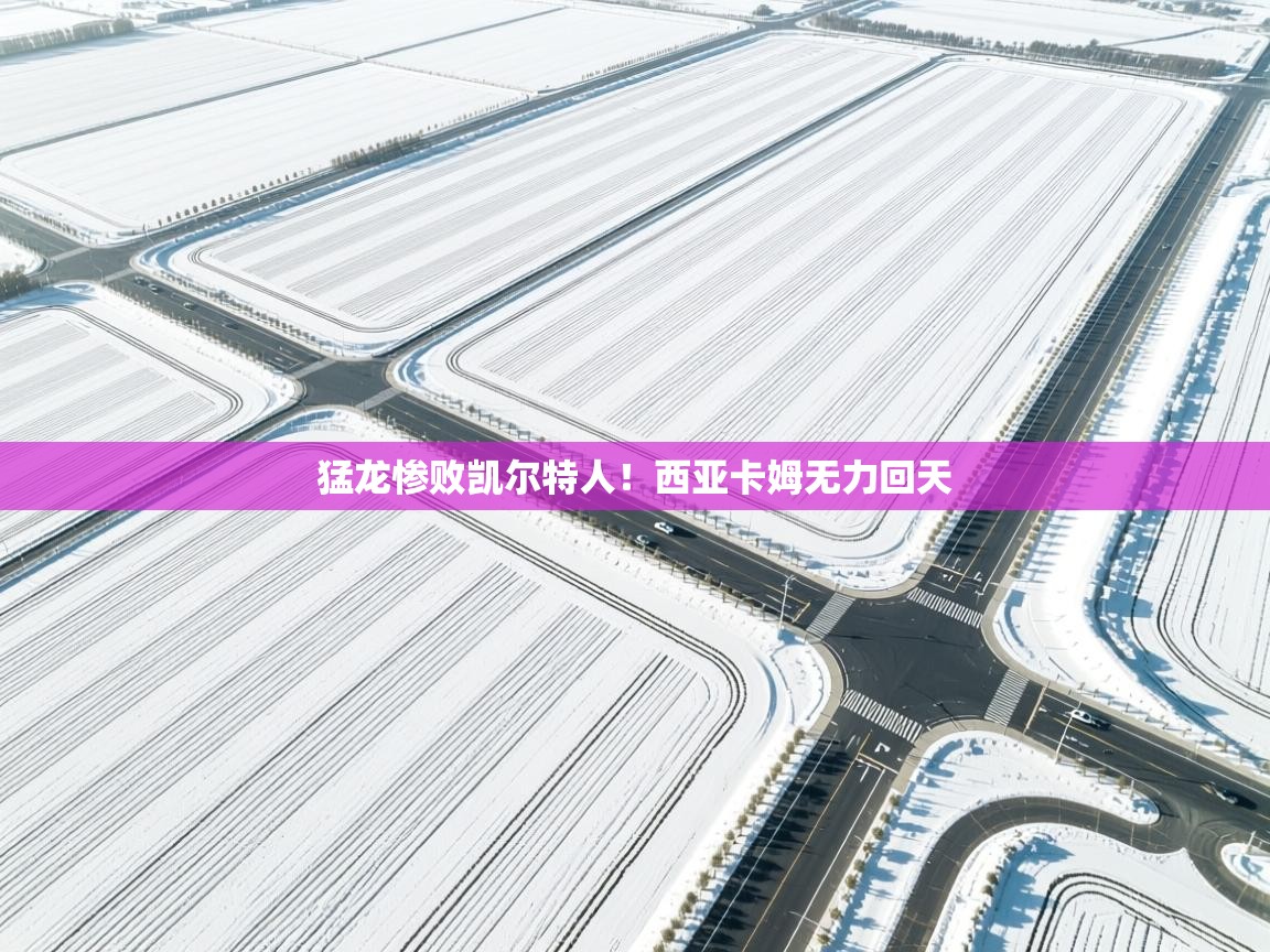 开云体育夜间模式开启-猛龙惨败凯尔特人!西亚卡姆无力回天 第3张