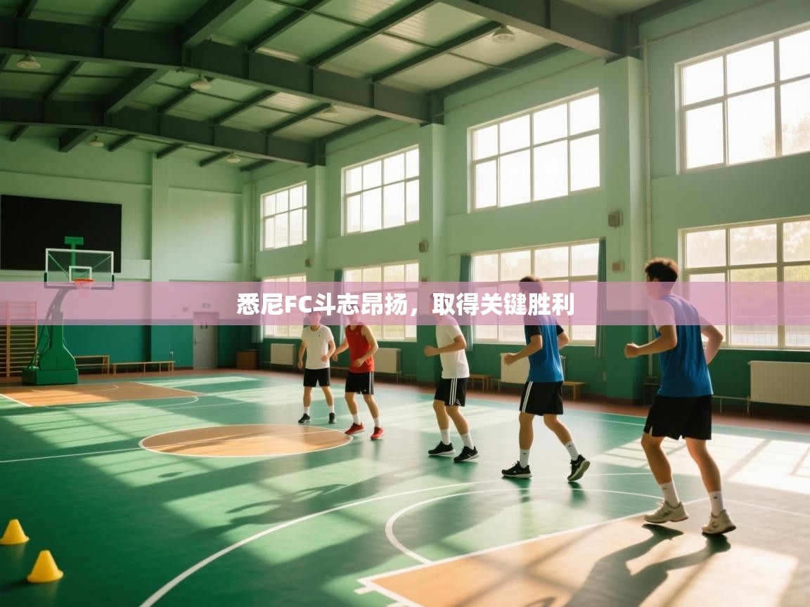 云开体育官网-悉尼FC斗志昂扬,取得关键胜利 第1张