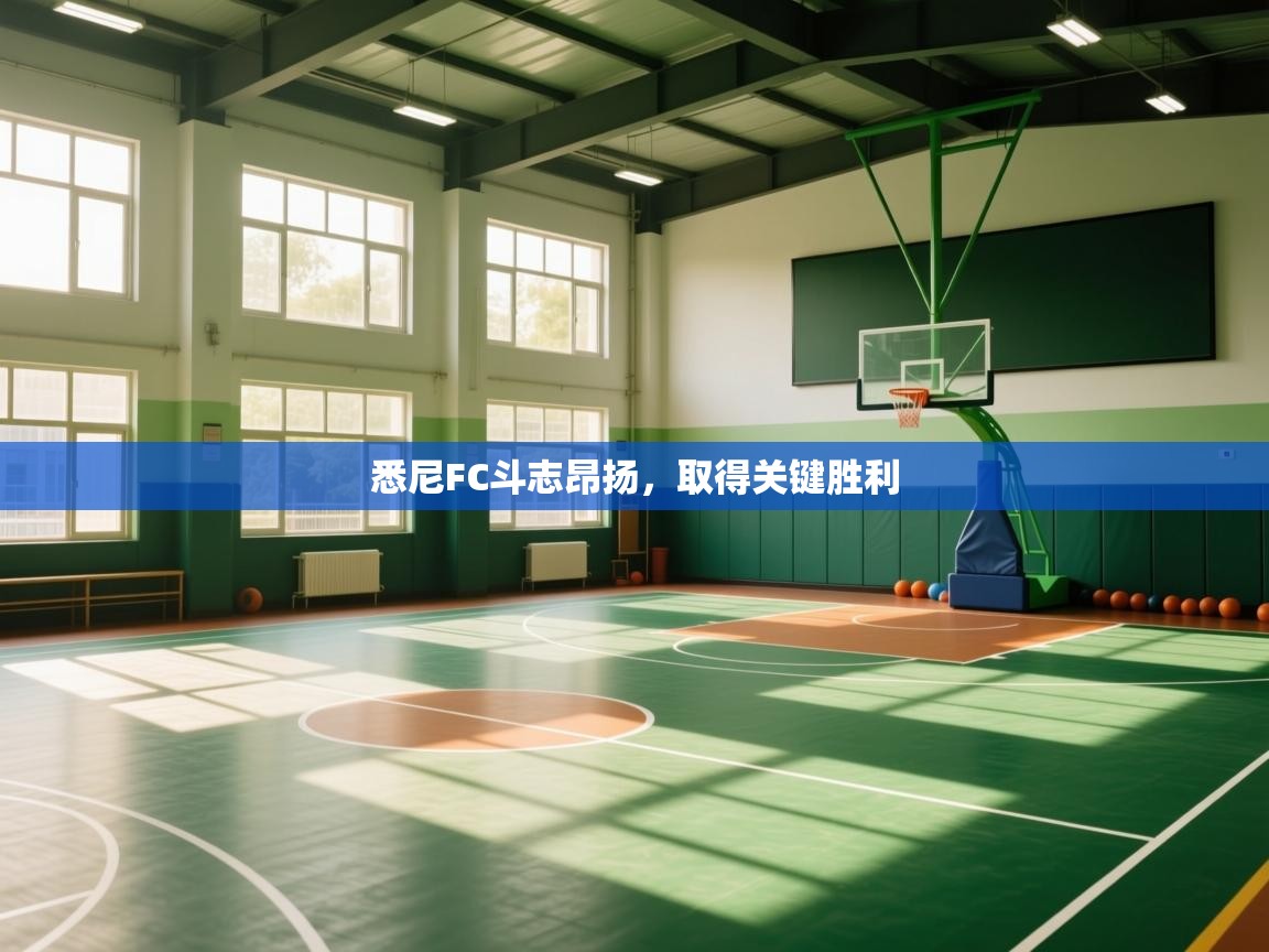 云开体育官网-悉尼FC斗志昂扬,取得关键胜利 第4张