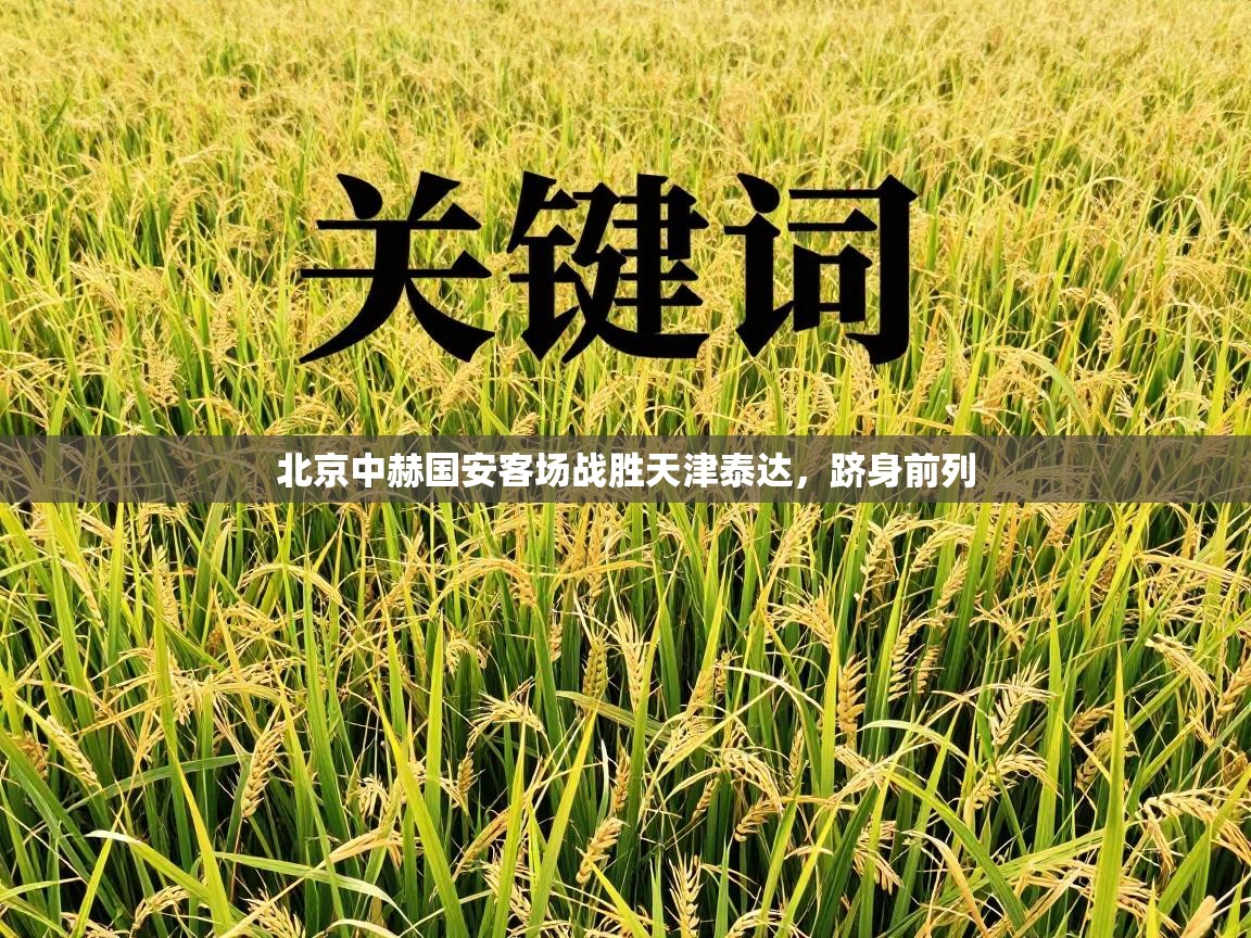 开云体育无法登录解决方案-北京中赫国安客场战胜天津泰达，跻身前列  第2张