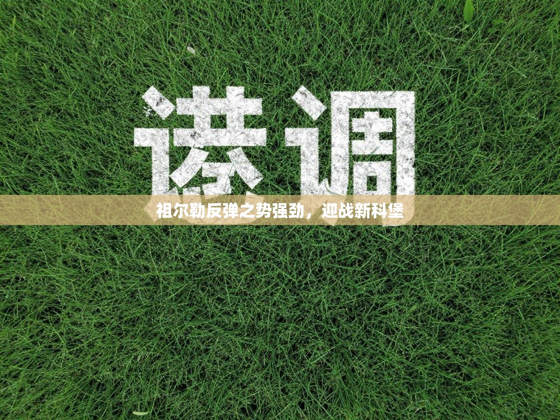 开云体育苹果版下载-祖尔勒反弹之势强劲,迎战新科堡 第1张