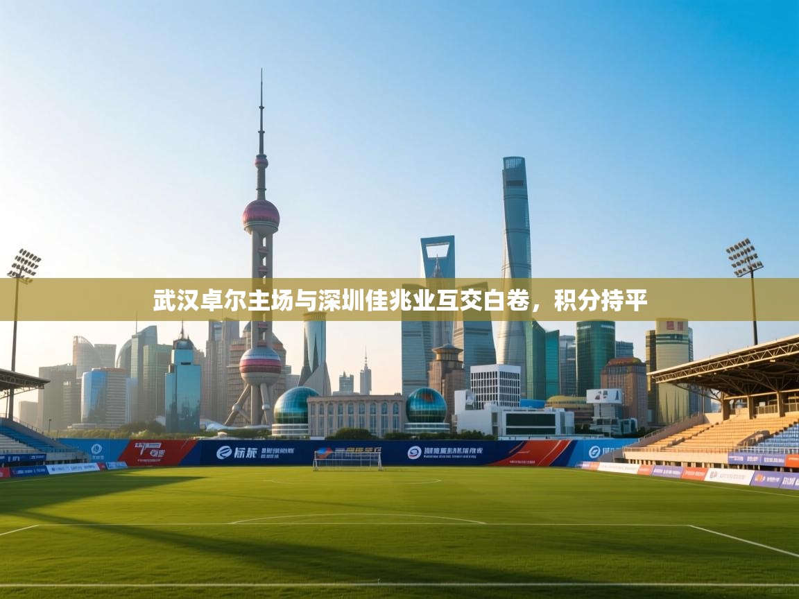开云体育app安装-武汉卓尔主场与深圳佳兆业互交白卷，积分持平  第1张
