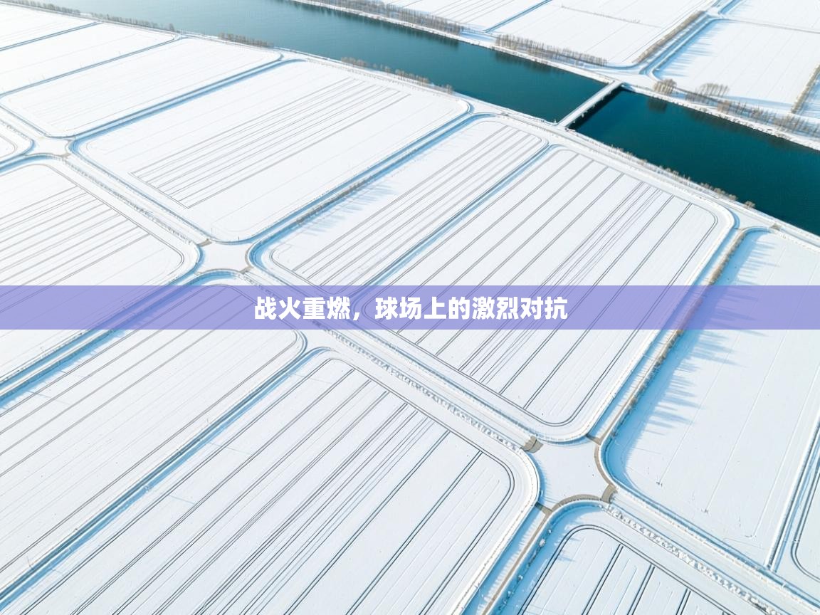 开云体育app官网入口网页版-战火重燃,球场上的激烈对抗 第1张