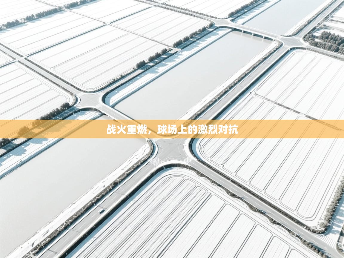 开云体育app官网入口网页版-战火重燃,球场上的激烈对抗 第3张