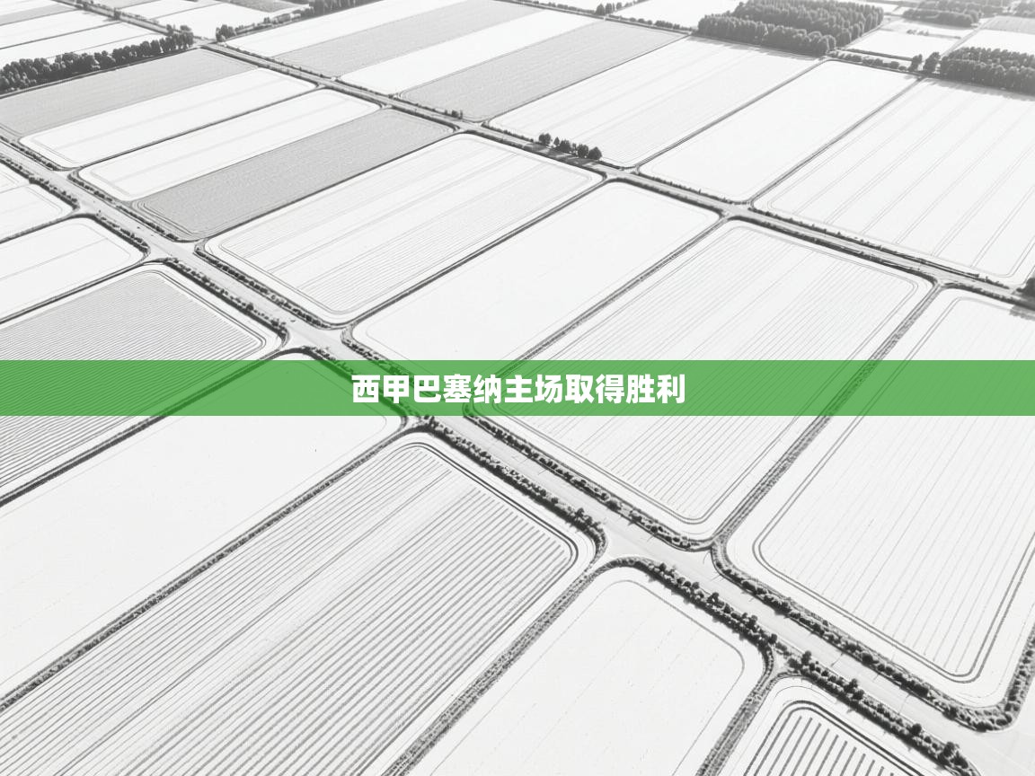 开云体育推送通知设置-西甲巴塞纳主场取得胜利  第1张