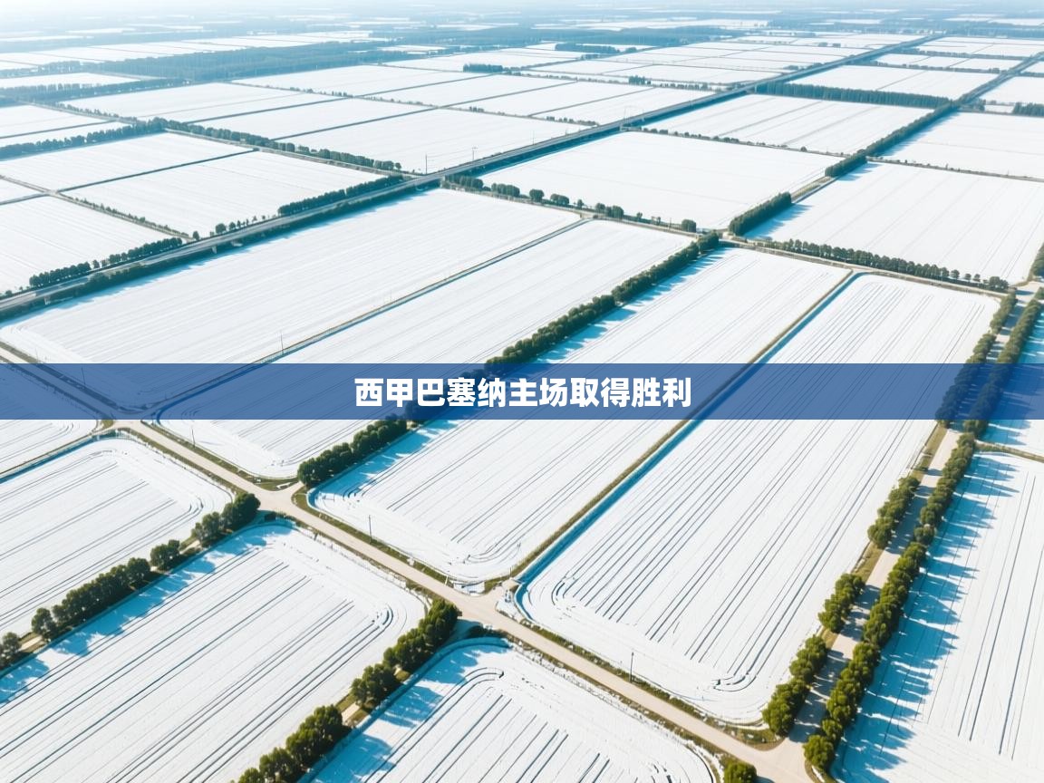 开云体育推送通知设置-西甲巴塞纳主场取得胜利  第2张