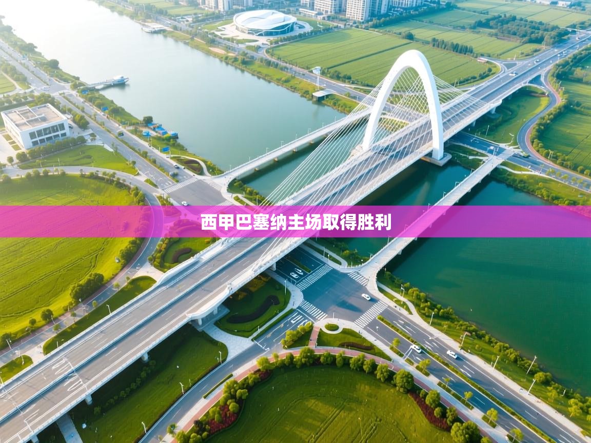 开云体育推送通知设置-西甲巴塞纳主场取得胜利  第3张